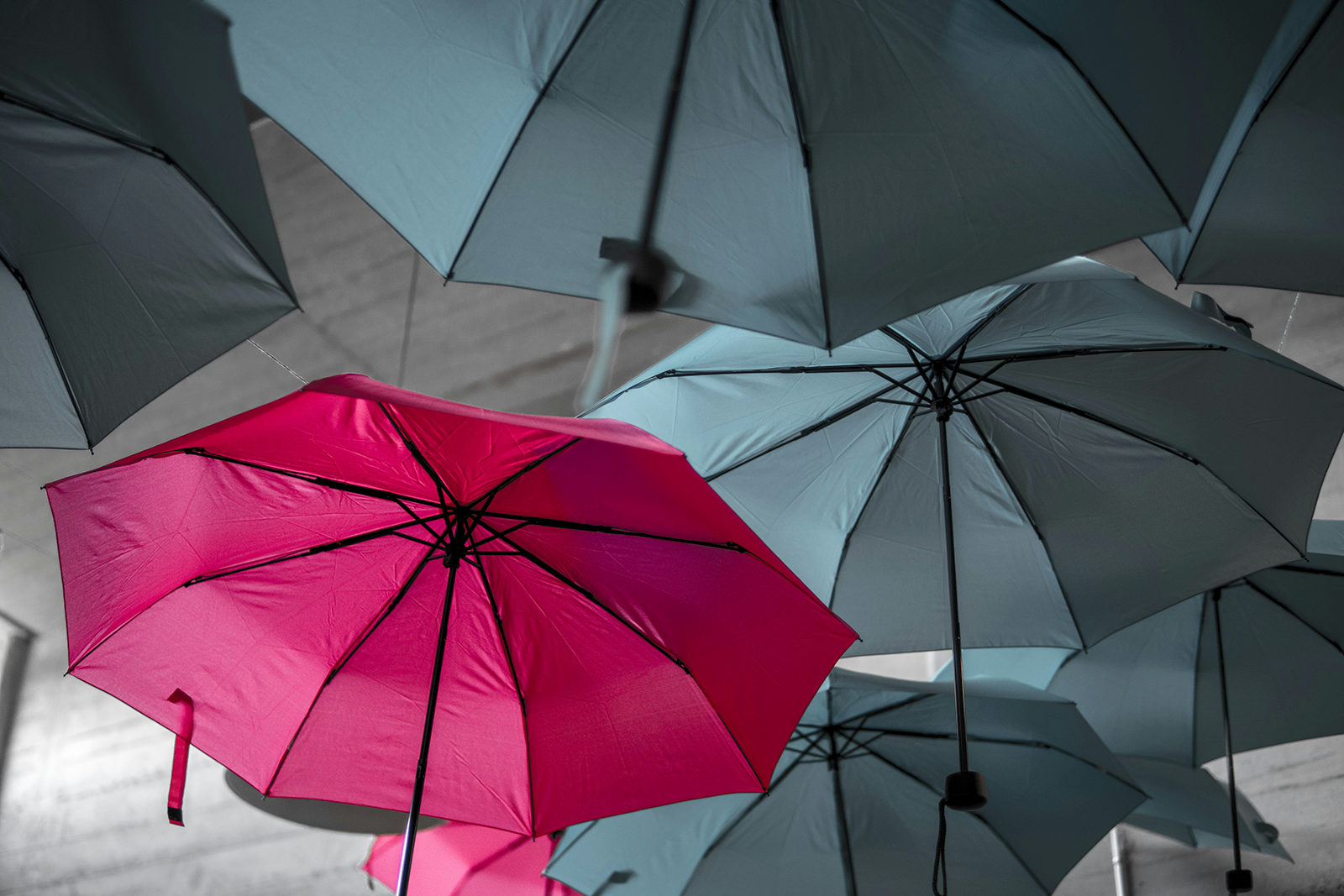 QIC blog post: Thinking Out Load: coping with information overload